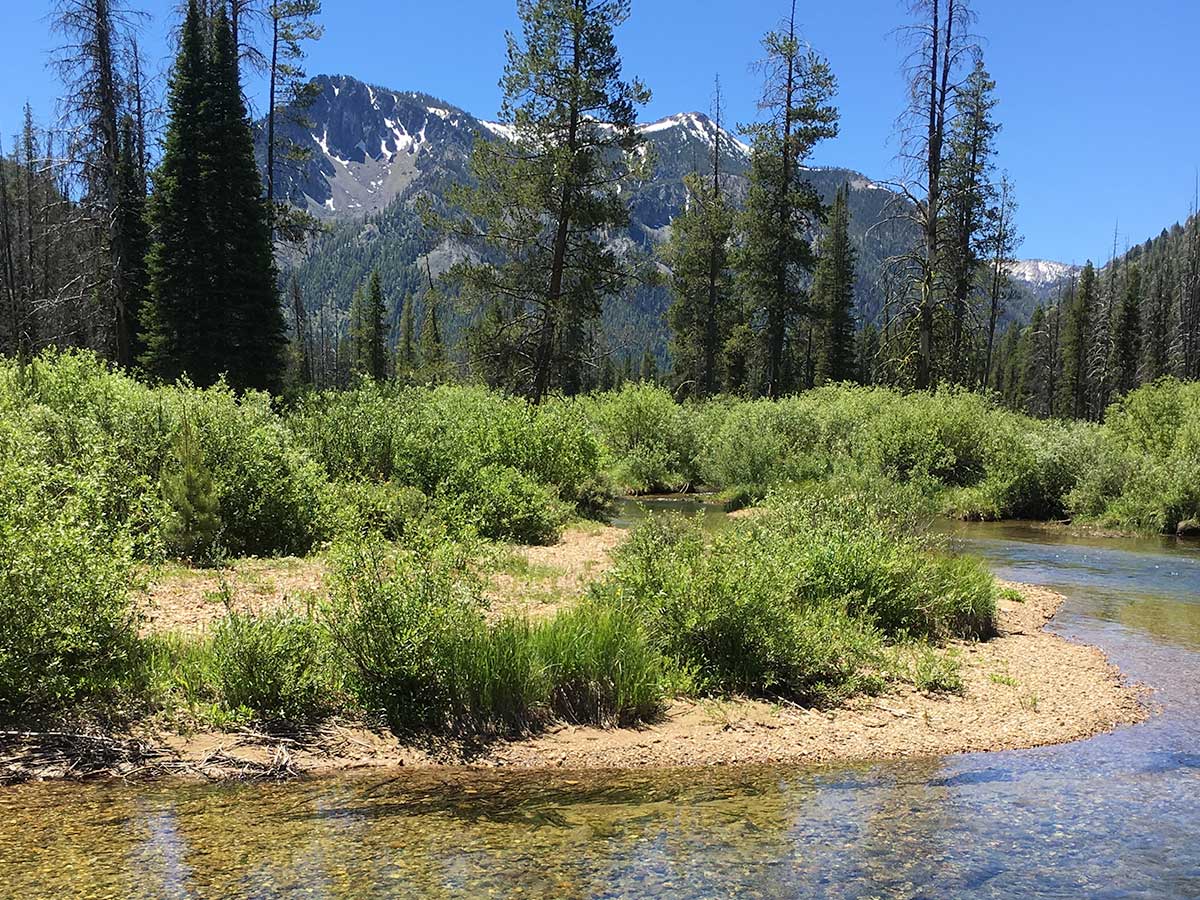 area around Big Creek